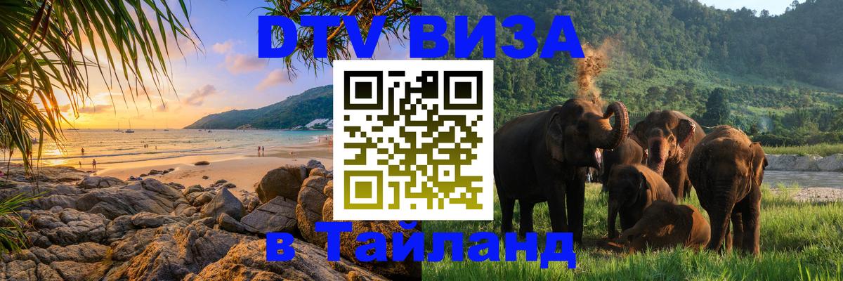 Сколько стоит DTV виза — актуальные цены, оформление даже без документов - 